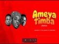 Ameyatimba Remix