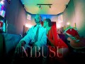 Nibusu