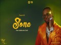 Sona