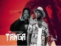 Tanga