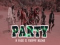 Party X Trippy Bleme