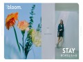 Stay