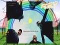 Sunny Side Up