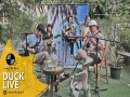 Duck Live 31