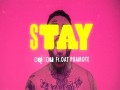 Stay