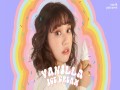 Vanilla Ice Cream