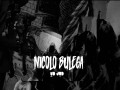 Nicolo Bulega