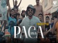 Paca