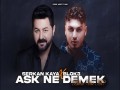 Aşk Ne Demek Bilen Var Mi?