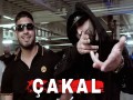 Çakal