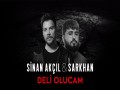 Deli Olucam