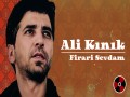 Firari Sevdam