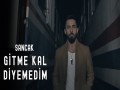 Gitme Kal Diyemedim