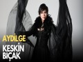 Keskin Biçak