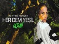 Olsun
