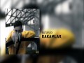 Rakamlar