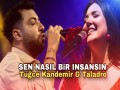 Sen Nasil Bir İnsansin