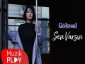 Sen Varsin