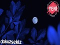 Ay Çikti Tam Boy