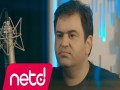 Bahçede Yeşil Çinar