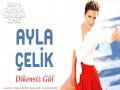 Dikensiz Gül