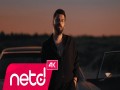 Hadi Şimdi