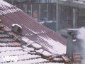 Son Seslenişim
