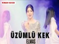 Üzümlü Kek