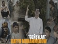 Goňşylar