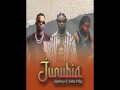 Junubia