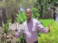 Tiga Kurira