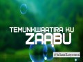 Zaabu
