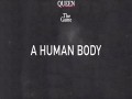 A Human Body