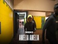 Amelia Amelia
