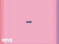 Caves