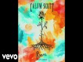 Roots Acoustic