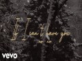 If I Can't Have You