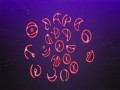 My Universe (David Guetta Remix)