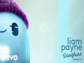 Sunshine Acoustic