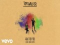 Wait For You (Steve Void Remix)