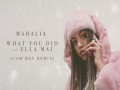 What You Did [Cam'ron Remix]