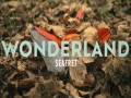 Wonderland