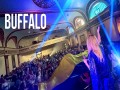 Buffalo