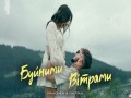 Buinimi Vіtrami