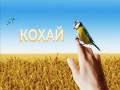 Kokhai