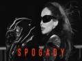 Spogady