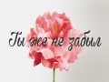 Ty Zhe Ne Zabyl