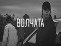 Volchata