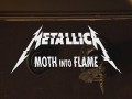 Moth Into Flame