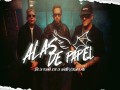 Alas De Papel